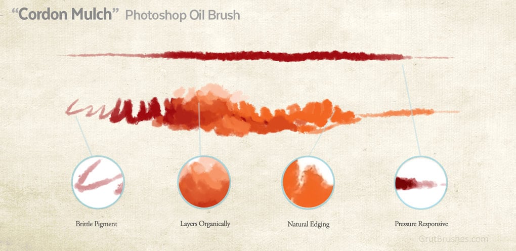 Photoshop Oil Paint brush 'Cordon Mulch' brush stroke characteristics