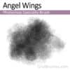 Angel Wings - Photoshop Specialty Brush