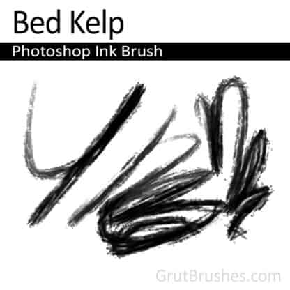 Bed Kelp - Photoshop Ink Brush