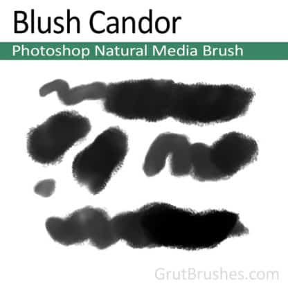 Photoshop Natural Media Brush for digital artists 'Blush Candor'