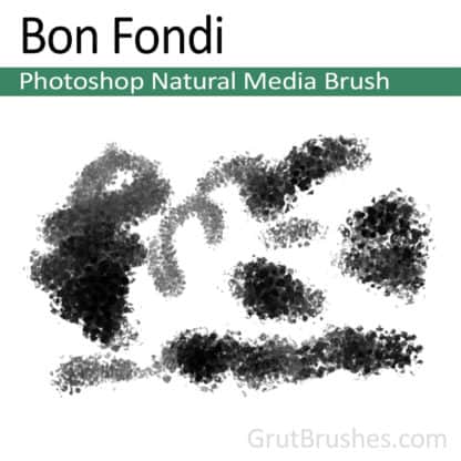Photoshop Natural Media Brush for digital artists 'Bon Fondi'