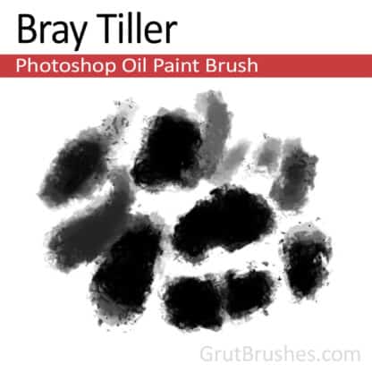 Bray Tiller - Photoshop Oil Brush