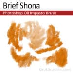 'Brief Shona' Photoshop Oil Impasto brush
