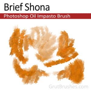 Brief Shona - Impasto Oil Photoshop Brush
