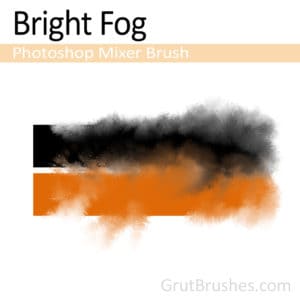 Bright Fog - Photoshop Mixer Brush