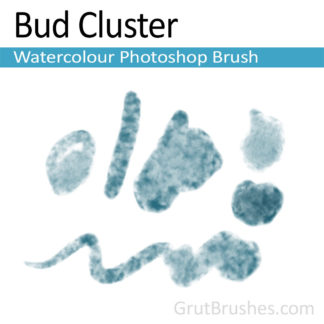 Photoshop Watercolor for digital artists 'Bud Cluster'