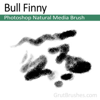 Photoshop Natural Media Brush for digital artists 'Bull Finny'