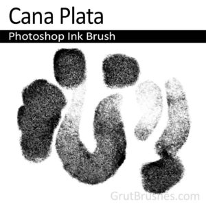 Cana Plata - Photoshop Ink Brush