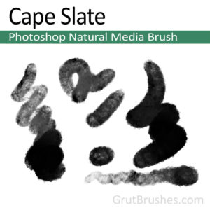 Photoshop Natural Media Brush for digital artists 'Cape Slats'
