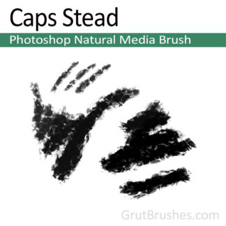 Photoshop Natural Media for digital artists 'Cap Stead'
