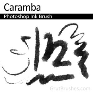 Photoshop Ink Brush for digital artists 'Caramba'
