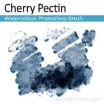 Cherry Pectin Photoshop watercolor brush for digital painters