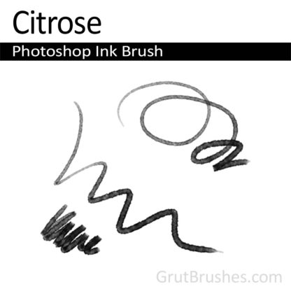 Photoshop Ink Brush for digital artists 'Citrose'