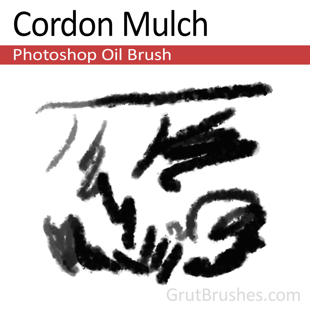 'Cordon Mulch' Photoshop oil brush for digital painting