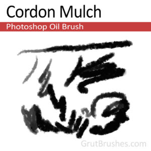 Cordon Mulch - Photoshop Oil Brush