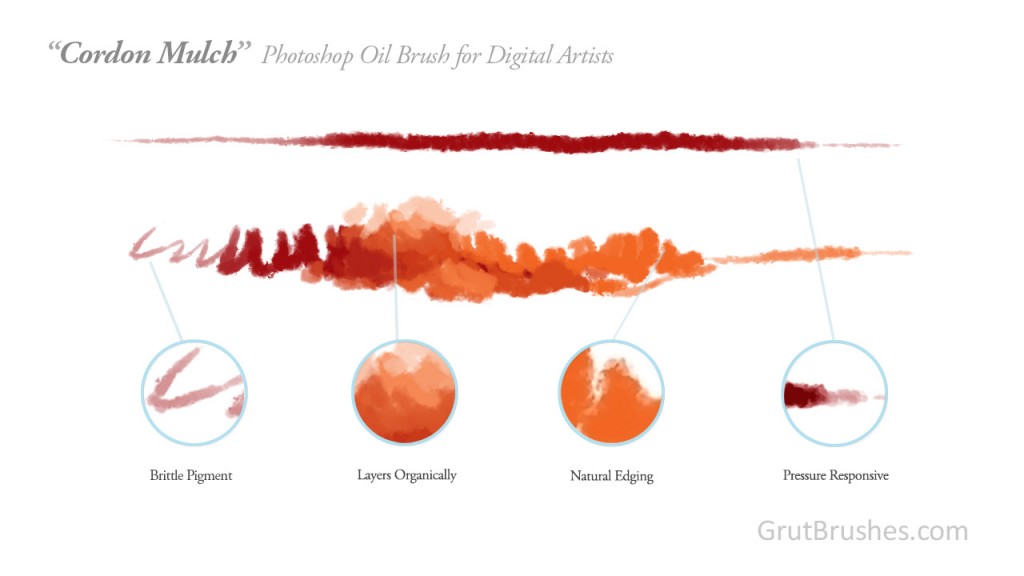 Elements of the 'Cordon Mulch' digital oil paint brush for Photoshop.