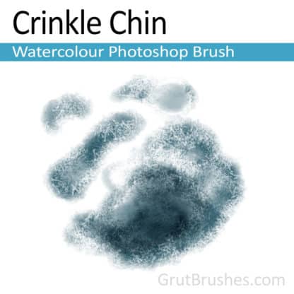 Photoshop Warecolor Brush for digital artists 'Crinkle Chin'