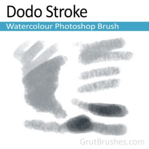 'Dodo Stroke' Photoshop Watercolor Brush for digital artists