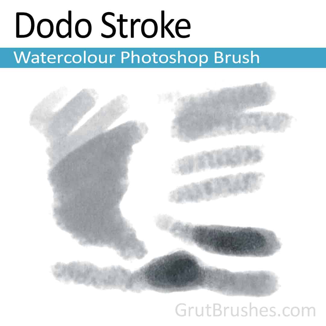 'Dodo Stroke' Photoshop watercolor brush for digital painting