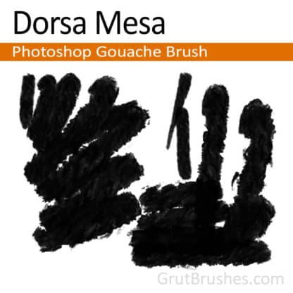 Dorsa Mesa - Photoshop Gouache Brush