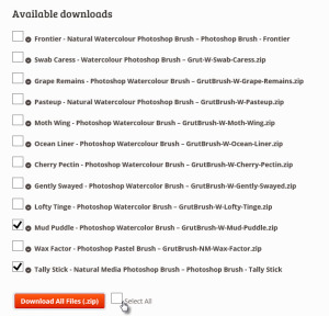 download all your Photoshop brushes in one zip file