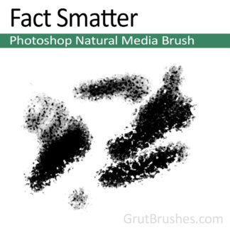 Photoshop Natural Media for digital artists 'Fact Smatter'