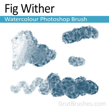 Photoshop Water Colour Brush for digital artists 'Fig Wither'