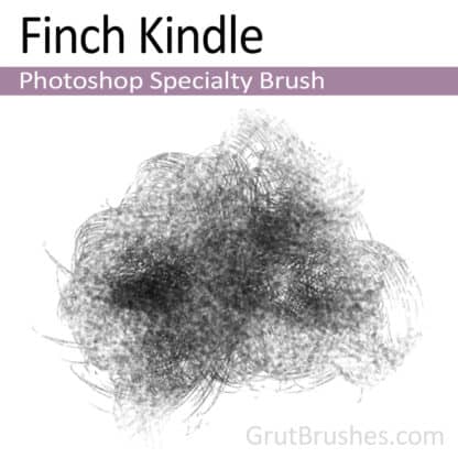 Photoshop Specialty Brush for digital artists 'Finch Kindle'