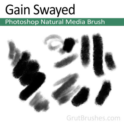 Photoshop Natural Media Brush for digital artists 'Gain Swayed'