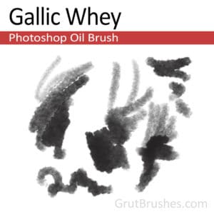 'Gallic Whey' Photoshop Oil Brush for digital artists