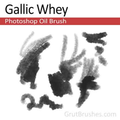 Gallic Whey - Photoshop Oil Brush