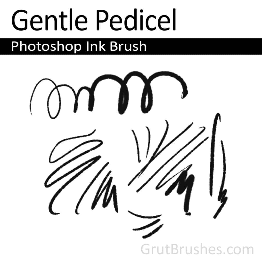 'Gentle Pedicel' Photoshop ink brush for digital painting