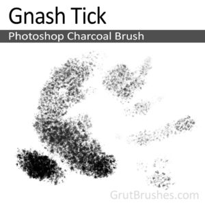 Photoshop Charcoal Brush for digital artists 'Gnash Tick'
