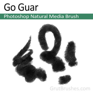 Photoshop Natural Media for digital artists 'Go Guar'