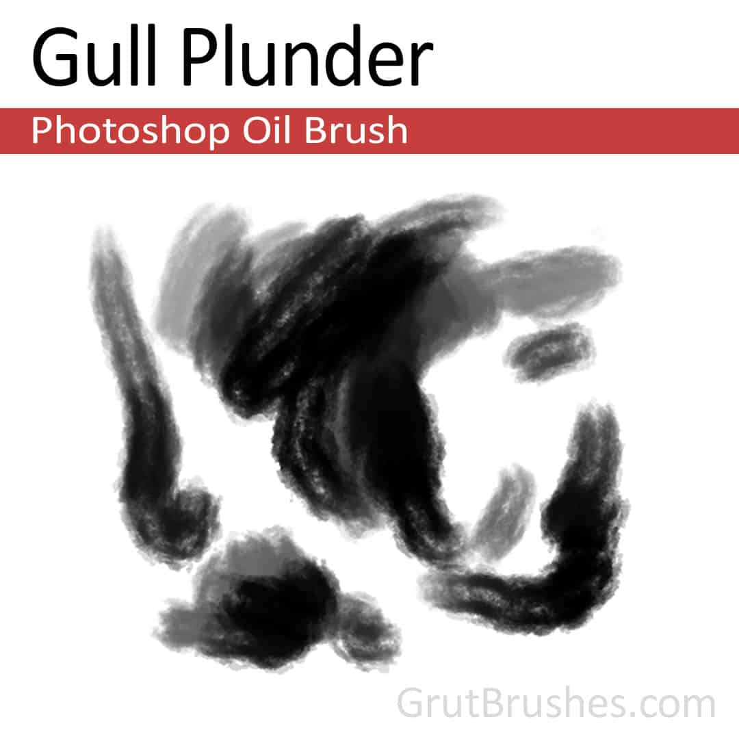 'Gull Plunder' Photoshop oil brush for digital painting