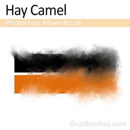 Hay Camel - Photoshop Mixer Brush