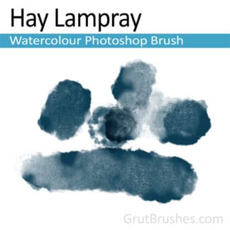 Photoshop Watercolor Brush for digital artists 'Hay Lampray'