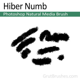 Photoshop Natural Media Brush for digital artists 'Hiber Numb'