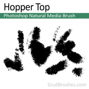 Hopper Top - Photoshop Natural Media Brush