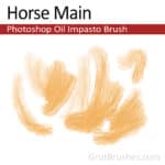 'Horse Main' Photoshop Impasto paint