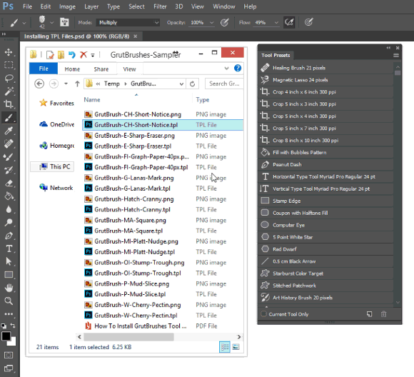 install TPL files by dragging and dropping into Photoshop or the Tool Preset Panel (Not into a document!)