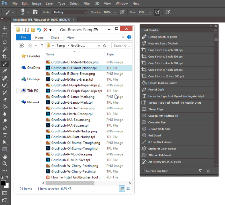 install TPL files by dragging and dropping into Photoshop*. Then you'll find them under 'Window -> Tool Presets'