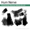 Hum Nerve - Photoshop Natural Media Brush