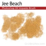 'Jee Beach' Photoshop Impasto oil paint