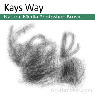 Kays Way - Photoshop Natural Media Brush