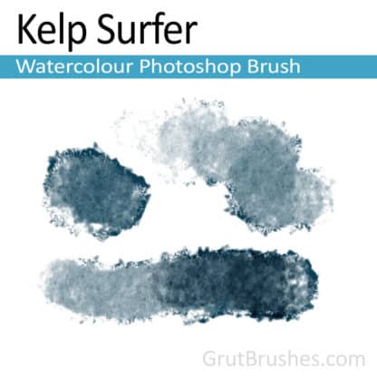 Photoshop Watercolour Brush for digital artists 'Kelp Surfer'