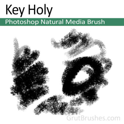 Photoshop Natural Media for digital artists 'Key Holy'