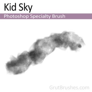 Photoshop Specialty Brush for digital artists 'Kid Sky'