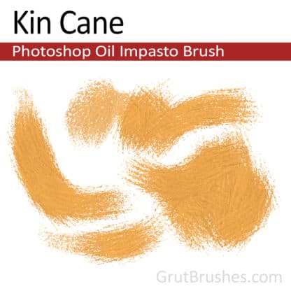 Kin Cane - Photoshop Impasto Oil Brush