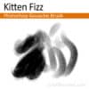 Kitten Fizz - Photoshop Gouache Brush